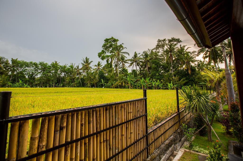 Maluhia Haven Villa Ubud Eksteriør billede