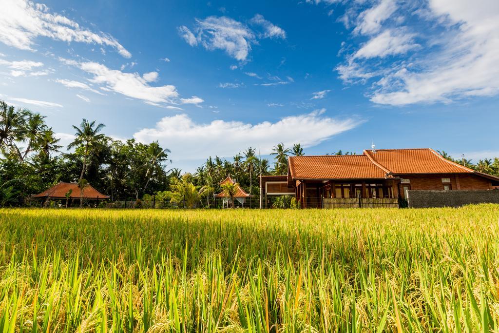Maluhia Haven Villa Ubud Eksteriør billede